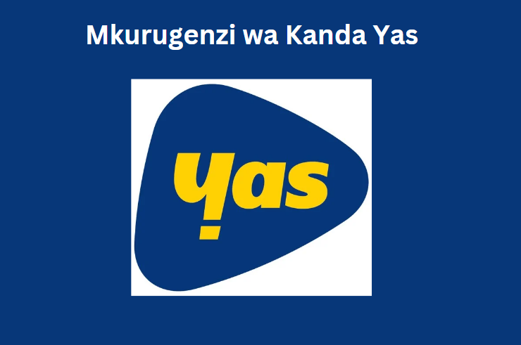 Mkurugenzi wa Kanda