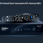 Ni Chaneli Gani Inaonyesha EPL Kwenye DStv