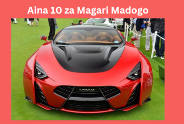 Aina 10 za Magari Madogo