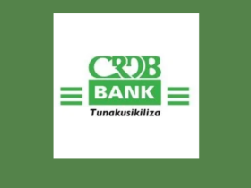 Nafasi 2 za Kazi CRDB Bank