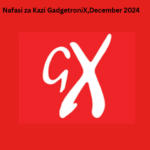 Nafasi za Kazi GadgetroniX