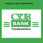 Nafasi 2 za Kazi CRDB Bank