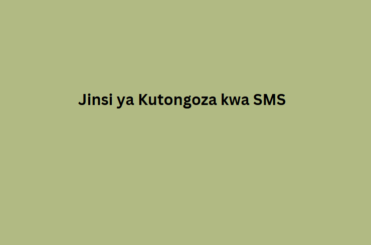 Jinsi ya Kutongoza kwa SMS