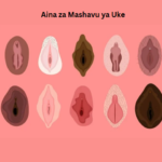 Aina za Mashavu ya Uke