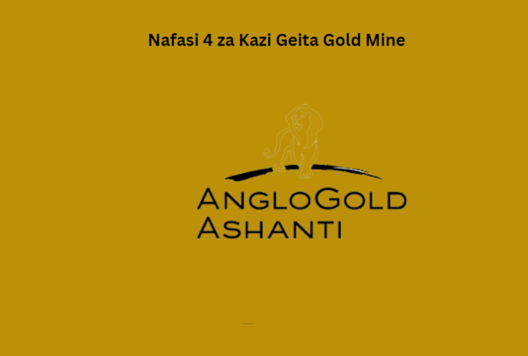 Nafasi 4 za Kazi Geita Gold Mine