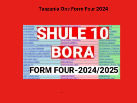 Tanzania One Form Four 2024