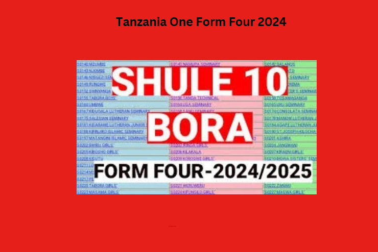 Tanzania One Form Four 2024