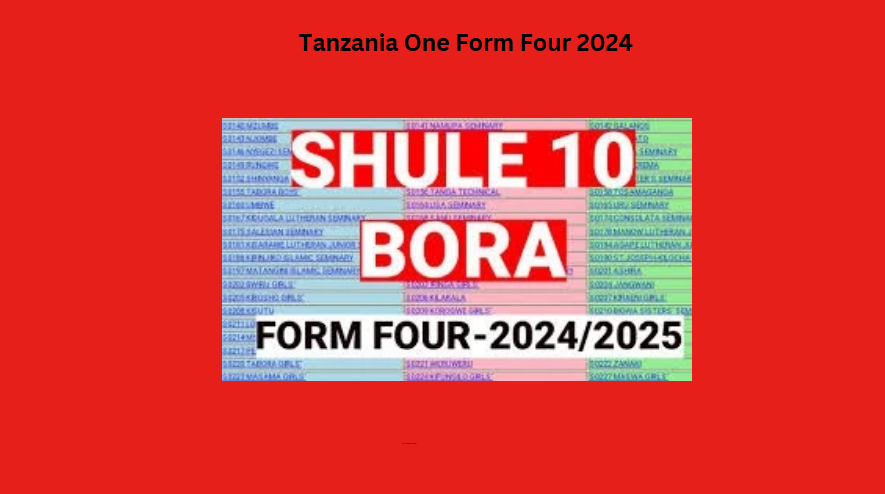 Tanzania One Form Four 2024