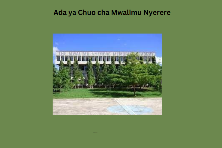 Ada ya Chuo cha Mwalimu Nyerere