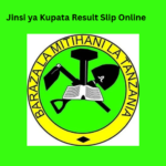 Jinsi ya Kupata Result Slip Online