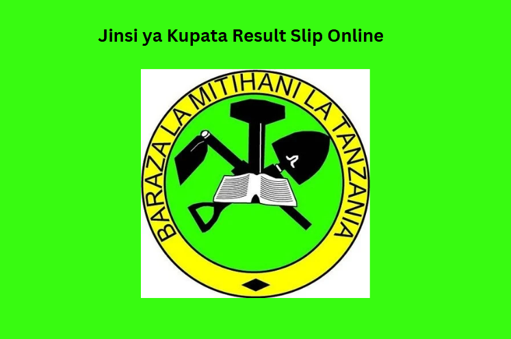 Jinsi ya Kupata Result Slip Online