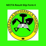 NECTA Result Slip Form 4