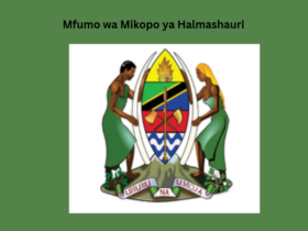 Mfumo wa Mikopo ya Halmashauri