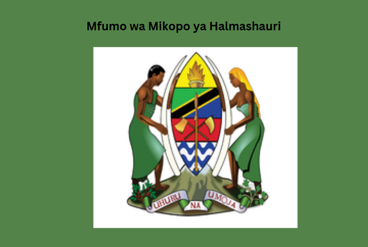 Mfumo wa Mikopo ya Halmashauri