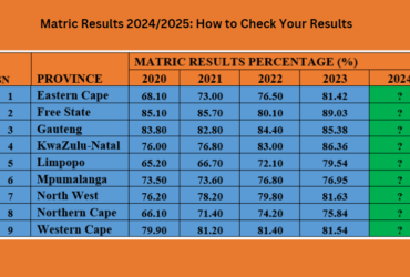 Matric Results 2024